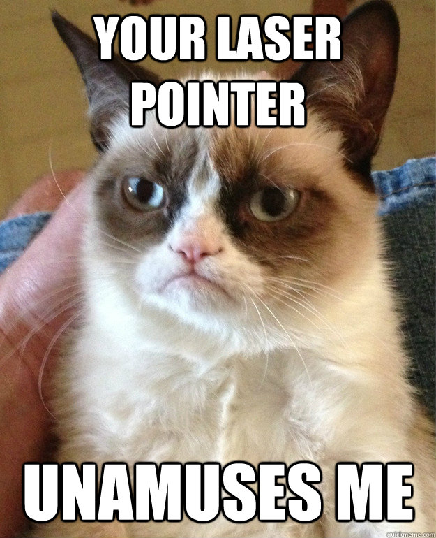your laser pointer unamuses me  Grumpy Cat