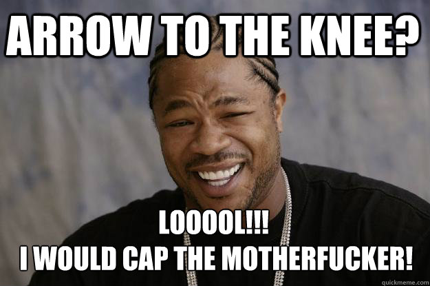 Arrow to the knee? LOOOOL!!! 
 i would cap the motherfucker!  Xzibit meme