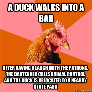 a duck walks into a bar after having a laugh with the patrons, the bartender calls animal control and the duck is relocated to a nearby state park - a duck walks into a bar after having a laugh with the patrons, the bartender calls animal control and the duck is relocated to a nearby state park  Anti-Joke Chicken