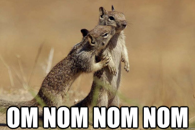  OM NOM NOM NOM -  OM NOM NOM NOM  Squirrel love
