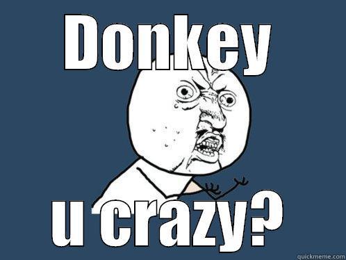 DONKEY U CRAZY? Y U No
