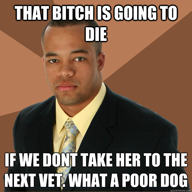 that bitch is going to die if we don´t take her to the next vet. what a poor dog - that bitch is going to die if we don´t take her to the next vet. what a poor dog  Successful Black Man