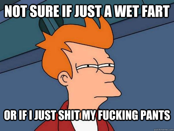 Not sure if just a wet fart Or if I just shit my fucking pants - Not sure if just a wet fart Or if I just shit my fucking pants  Futurama Fry