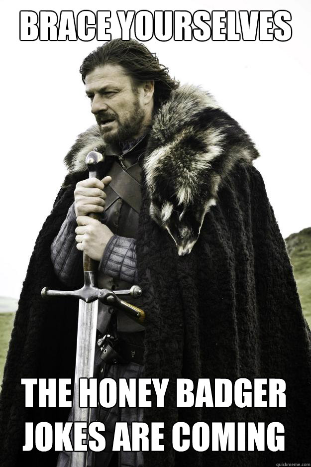 brace yourselves the honey badger jokes are coming - brace yourselves the honey badger jokes are coming  Winter is coming