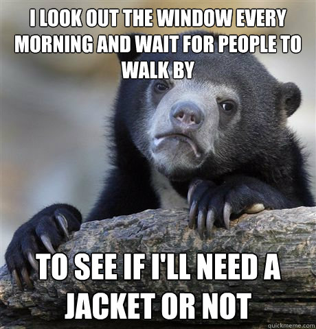 i look out the window every morning and wait for people to walk by to see if i'll need a jacket or not  Confession Bear