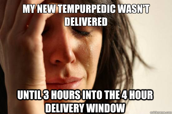 My new Tempurpedic wasn't delivered Until 3 hours into the 4 hour delivery window  First World Problems