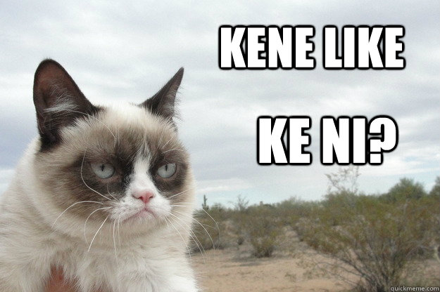 kene like ke ni?   Grump Cat