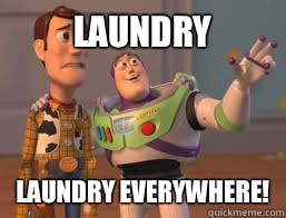 Laundry Laundry everywhere!  Borderlands 2 Buzz meme