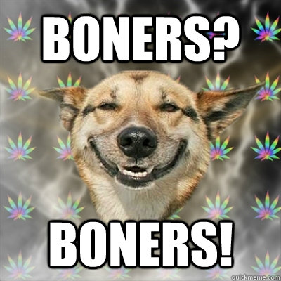 Boners? Boners!  Stoner Dog