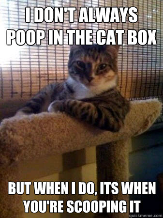 I don't always poop in the cat box but when I do, its when you're scooping it  - I don't always poop in the cat box but when I do, its when you're scooping it   The Most Interesting Cat in the World