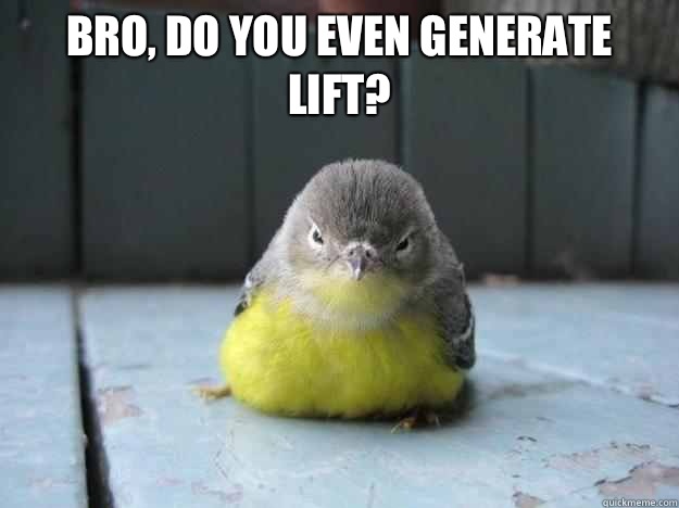 Bro, do you even generate lift?   Angry Bird