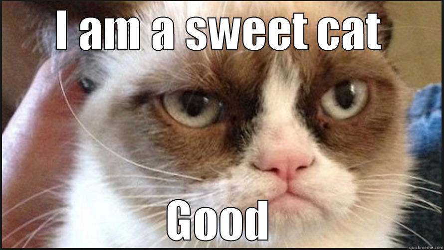 I AM A SWEET CAT GOOD Misc