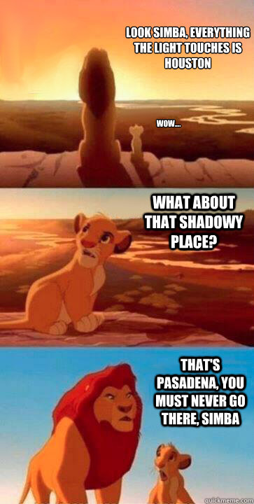look simba, everything the light touches is Houston what about that shadowy place? that's Pasadena, you must never go there, simba wow....  SIMBA