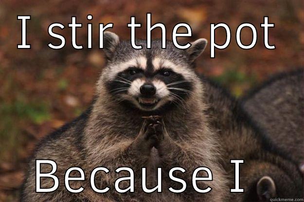 I STIR THE POT BECAUSE I CAN Evil Plotting Raccoon