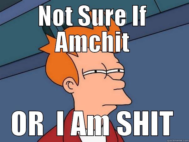 NOT SURE IF AMCHIT OR  I AM SHIT Futurama Fry