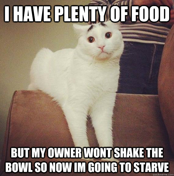 I HAVE PLENTY OF FOOD BUT MY OWNER WONT SHAKE THE BOWL SO NOW IM GOING TO STARVE  