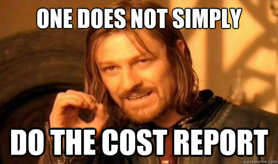 One Does Not Simply DO the cost report - One Does Not Simply DO the cost report  Misc
