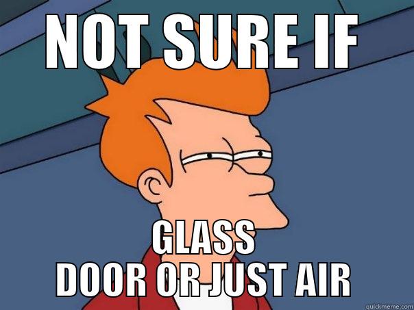 NOT SURE IF GLASS DOOR OR JUST AIR Futurama Fry