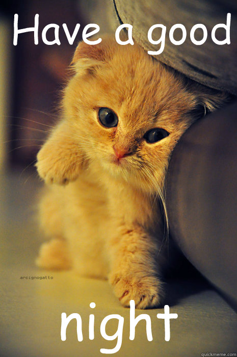 Have a good  night - Have a good  night  Itty Bitty Ginger Kitty