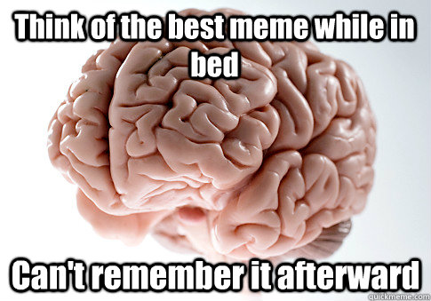 Think of the best meme while in bed  Can't remember it afterward  Scumbag Brain