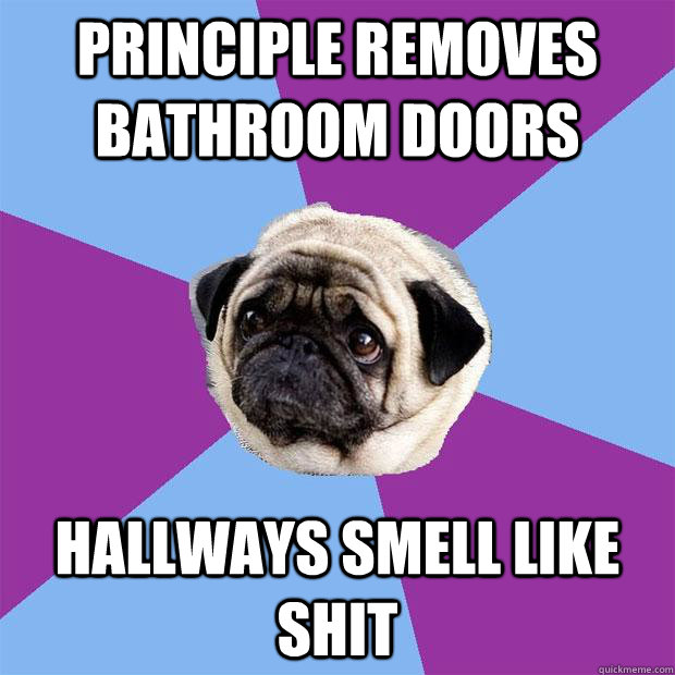 principle removes bathroom doors hallways smell like shit  Lonely Pug