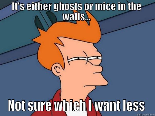 IT'S EITHER GHOSTS OR MICE IN THE WALLS... NOT SURE WHICH I WANT LESS Futurama Fry