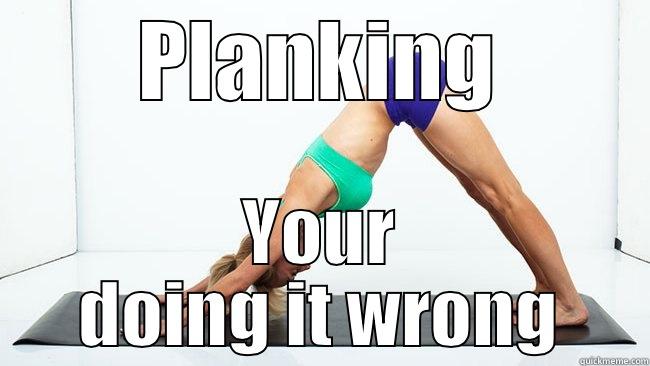 PLANKING YOUR DOING IT WRONG Misc