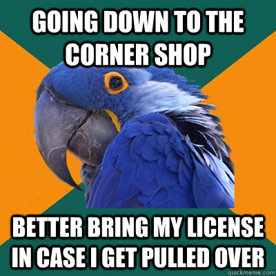 going down to the corner shop  better bring my license in case i get pulled over  Paranoid Parrot