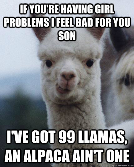 If you're having girl problems I feel bad for you son I've got 99 llamas, an alpaca ain't one  ALPACA