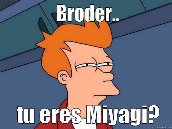 Miyagi Sabe! -               BRODER..                  TU ERES MIYAGI?   Futurama Fry