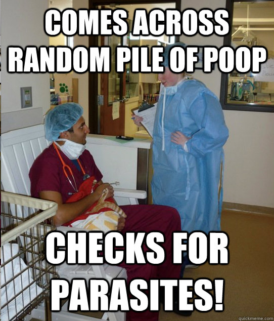 Comes across random pile of poop Checks for parasites! - Comes across random pile of poop Checks for parasites!  Overworked Veterinary Student