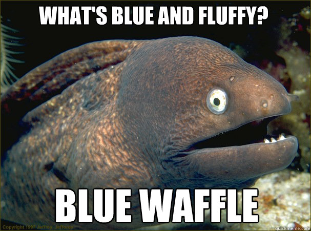 Blue waffle What's blue and fluffy? - Blue waffle What's blue and fluffy?  Bad Joke Eel