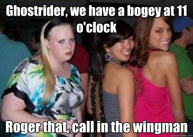 Ghostrider, we have a bogey at 11 o'clock Roger that, call in the wingman  Cock-block Cathy