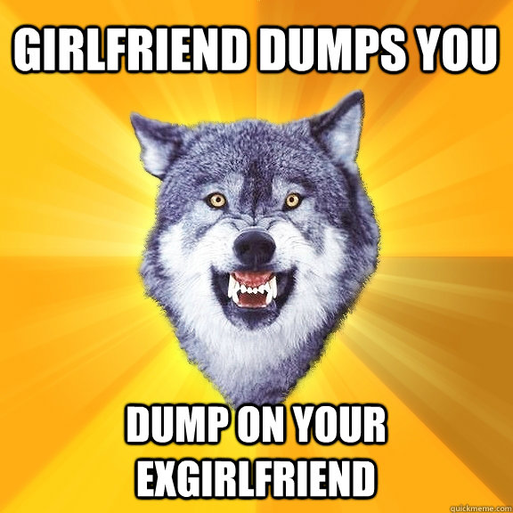 Girlfriend dumps you Dump on your Exgirlfriend  Courage Wolf