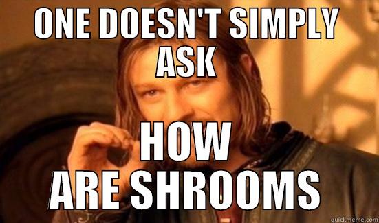 ONE DOESN'T SIMPLY ASK HOW ARE SHROOMS Boromir