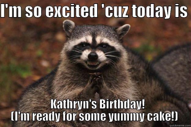 Cunning Raccoon - I'M SO EXCITED 'CUZ TODAY IS     KATHRYN'S BIRTHDAY! (I'M READY FOR SOME YUMMY CAKE!) Evil Plotting Raccoon