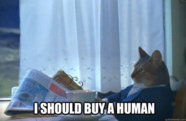 I should buy a human  Sophisticated Cat