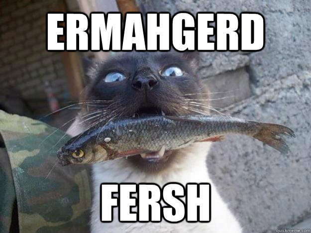 ERMAHGERD FERSH - ERMAHGERD FERSH  ERMAHGERD