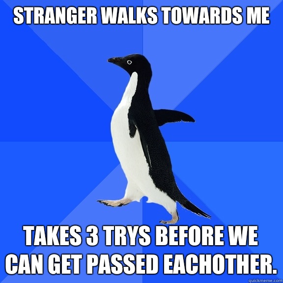 Stranger walks towards me Takes 3 trys before we can get passed eachother.  Socially Awkward Penguin