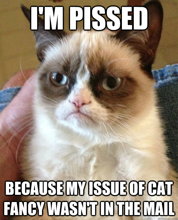 i'm pissed because my issue of cat fancy wasn't in the mail  Grumpy Cat
