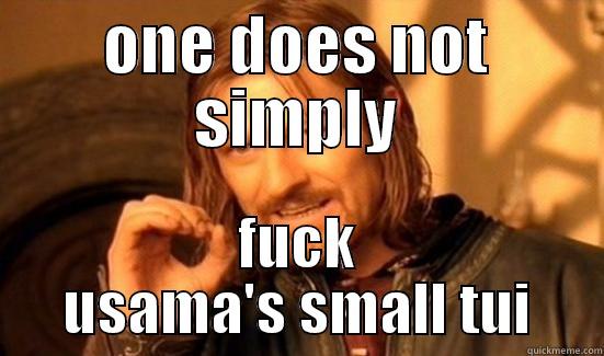 ONE DOES NOT SIMPLY FUCK USAMA'S SMALL TUI Boromir
