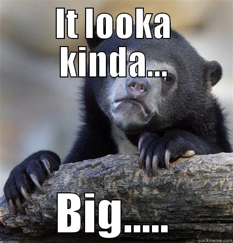 IT LOOKA KINDA... BIG..... Confession Bear