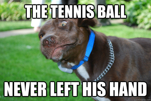 The Tennis Ball Never left his hand - The Tennis Ball Never left his hand  Misc