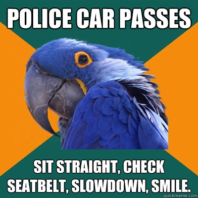 police car passes Sit straight, check seatbelt, slowdown, smile.  Paranoid Parrot