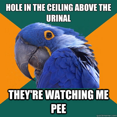 Hole in the ceiling above the urinal They're watching me pee  Paranoid Parrot