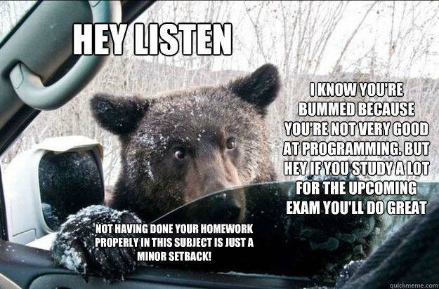 Hey Listen I know you're bummed because you're not very good at programming. But hey if you study a lot for the upcoming exam you'll do great Not having done your homework properly in this subject is just a minor setback!  Pep Talk Bear
