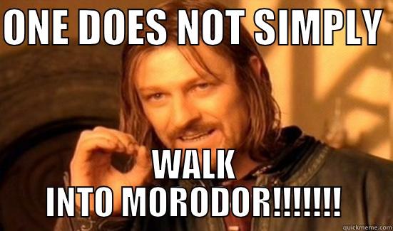 ONE DOES NOT SIMPLY  WALK INTO MORODOR!!!!!!! Boromir