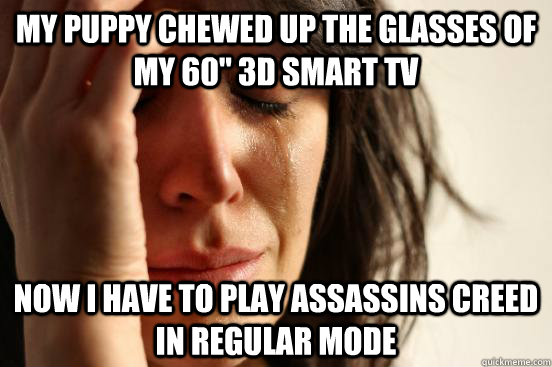 My Puppy Chewed up the glasses of my 60