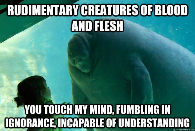 Rudimentary creatures of blood and flesh you touch my mind, fumbling in ignorance, incapable of understanding  Overlord Manatee