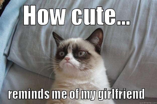 Grumpy girlfriend - HOW CUTE... REMINDS ME OF MY GIRLFRIEND  Grumpy Cat